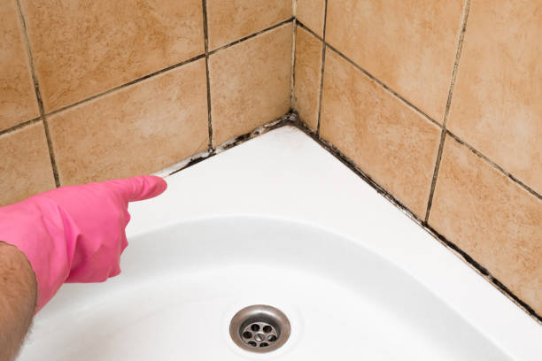 Best HVAC Mold Remediation in Holly Springs, GA